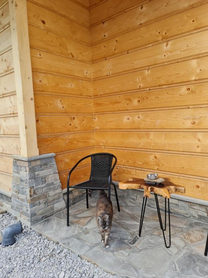 Chalet żabie Dworki Luxury *